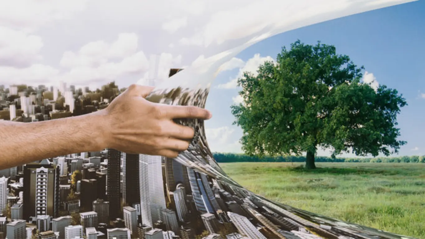 The Ecological Impact of Changing Seasons: When Weathers Lose Their Way