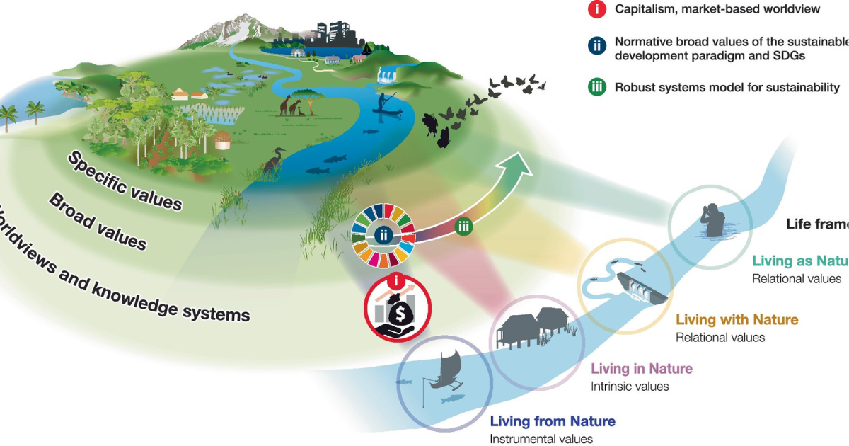 Understanding Barriers to Sustainable Practices