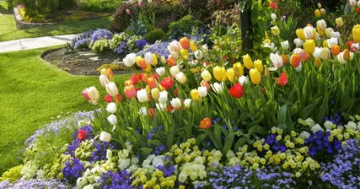 Mindful Gardening with The Power of Scent: Cultivating Fragrance for the Soul