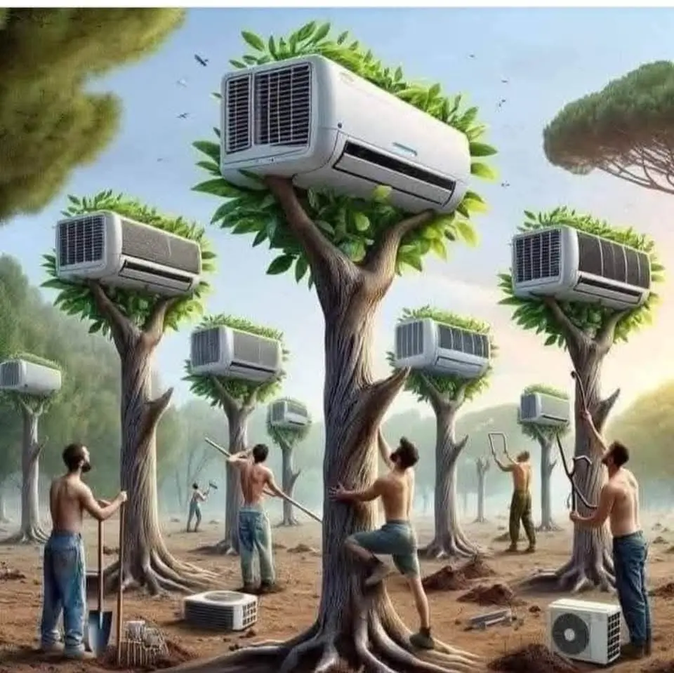 The Incredible Power of Trees in Cooling Environment